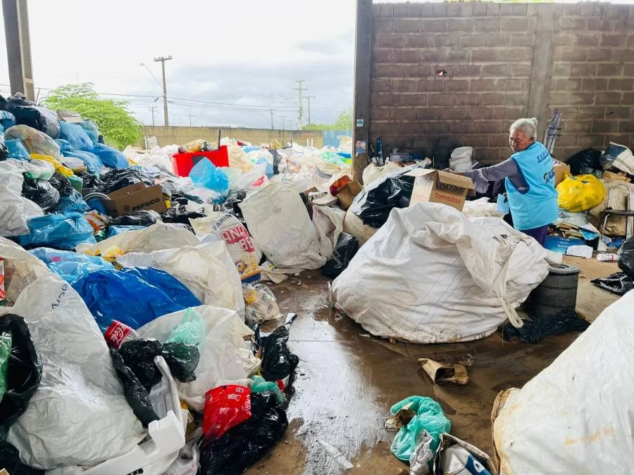 Reciclagem de resíduos promove inclusão social e contribui para o meio ambiente