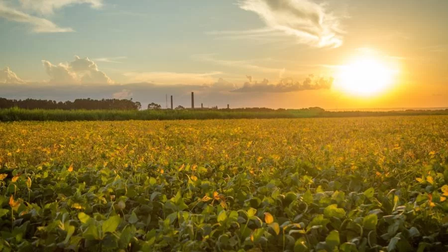 Previsão do tempo indica diminuição de chuvas e aumento da temperatura nas principais cidades do Tocantins; confira