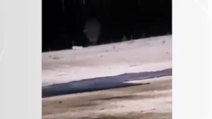 Casal é flagrado fazendo sexo na Praia da Graciosa; vídeo viraliza