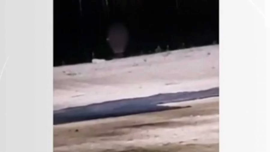 Casal é flagrado fazendo sexo na Praia da Graciosa; vídeo viraliza