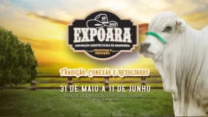 Expoara: Exposição Agropecuária de Araguaína inicia nesta quarta-feira, 31; confira a programação completa