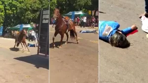 Durante cavalgada, mulher cai de cavalo e fica em estado grave; vídeo