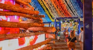 31º Arraiá da Capital terá transmissão ao vivo pelo YouTube e TV Assembleia