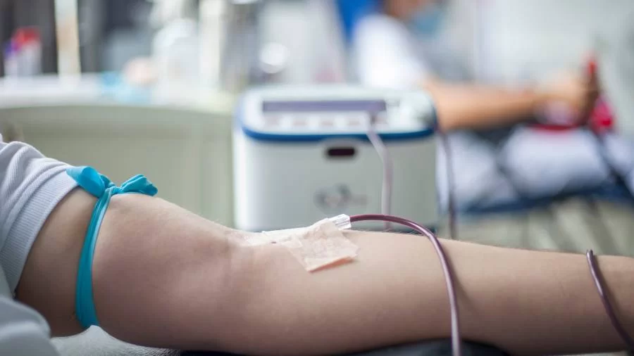 No Tocantins, mais de 22 mil doações de sangue foram realizadas em 2022