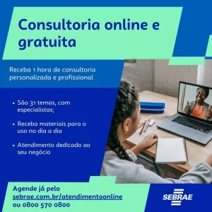 Sebrae oferece consultorias gratuitas aos empreendedores