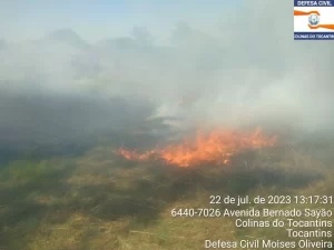 IncÃªndio de grande proporção em Colinas é contido pela Defesa Civil