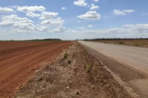 Cerrado ameaçado: Revisão do Plano de Manejo da Ãrea de Proteção Ambiental (APA) Ilha do Bananal/Cantão causa preocupação