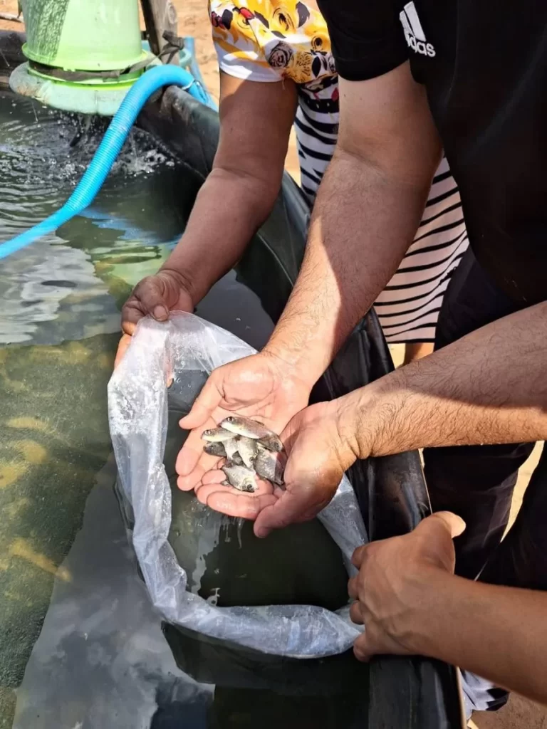 Projeto "Energia Para Crescer" impulsiona agricultura familiar sustentável no Jalapão