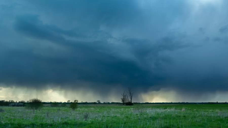 Prognóstico climático para a Agricultura e previsão de chuva no Norte