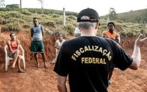 MTE encontra 1.246 trabalhadores em condiÃÂ§ÃÂµes de trabalho  de escravo