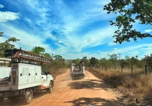 Energisa realiza ação de modernização da rede elétrica no Jalapão