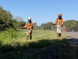 Trechos da BR-153 terão interdição parcial de pista e tráfego funcionará no sistema "Pare e Siga"