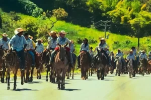 XII Tropeada da IntegraÃÂ§ÃÂ£o Nossa Senhora Aparecida "O tropeirismo unindo povos e culturas" de 01 ÃÂ¡s 09 de junho