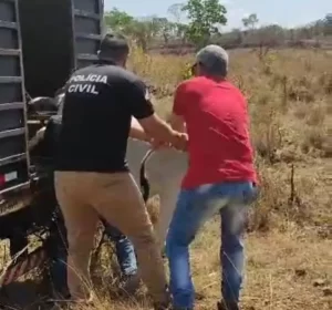 Polícia Civil recupera 30 cabeças de gado furtadas em Monte Santo