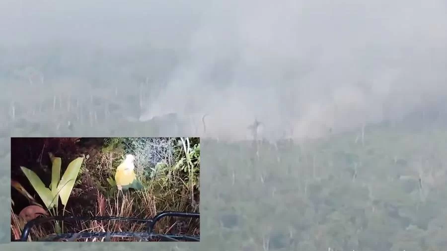 IncÃªndio na Ilha do Bananal coloca em risco vida de indígenas isolados