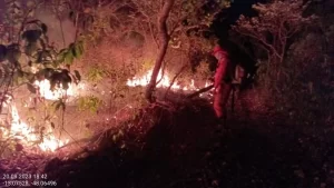 Força-tarefa do CBMTO e Defesa Civil Estadual controla incÃªndio que atingiu 35 mil hectares