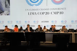 COP 20: resultados, impactos e projeções para a COP 30 no Brasil