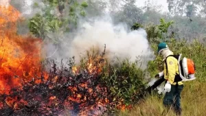 De 3Âº para 6Âº, Tocantins cai trÃªs posições no ranking nacional de queimadas
