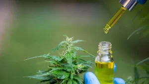 SES-TO institui grupo técnico para o fornecimento de medicamentos Ã  base de canabidiol