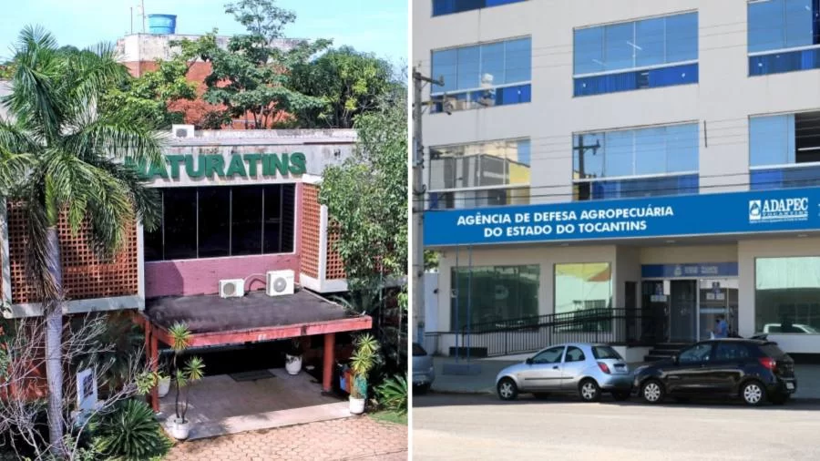 Atualização: Governo do Estado começa a organizar concursos da Adapec e do Naturatins