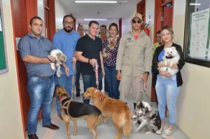Cinoterapia no HGP e Infantil completa um ano com quase 600 atendimentos