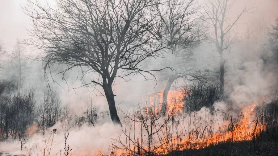 Números de focos de incÃªndios registrados em outubro na Amazônia superam em 34% média histórica