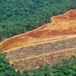 Terras indígenas perdem 55% da superfície de água e crise ameaça alimentos tradicionais, diz Cientistas do Infoamazônia