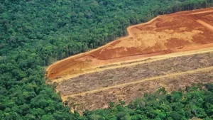 Desmatamento na Amazônia cai 22,3% entre agosto de 2022 e julho de 2023
