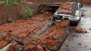 Tempestade com ventos fortes derruba árvores e causa prejuízo em Guaraí