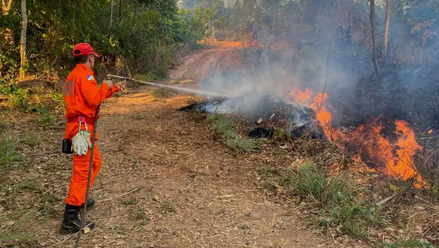 Tocantins reduz 40% da área queimada, 25% dos focos de calor e cai para a sétima posição no ranking nacional