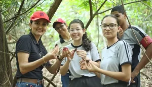 Governo do Tocantins premia Colégio João XXIII de Colinas pelo projeto Desconectar para Conectar