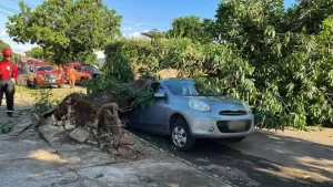 Chuva forte causa transtornos e deixa rastro de destruição em Palmas; veja imagens