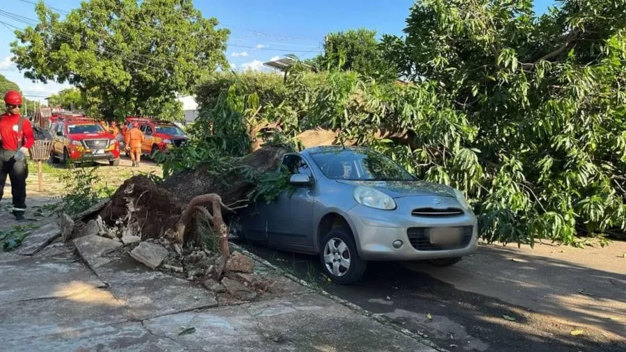 Chuva forte causa transtornos e deixa rastro de destruição em Palmas; veja imagens