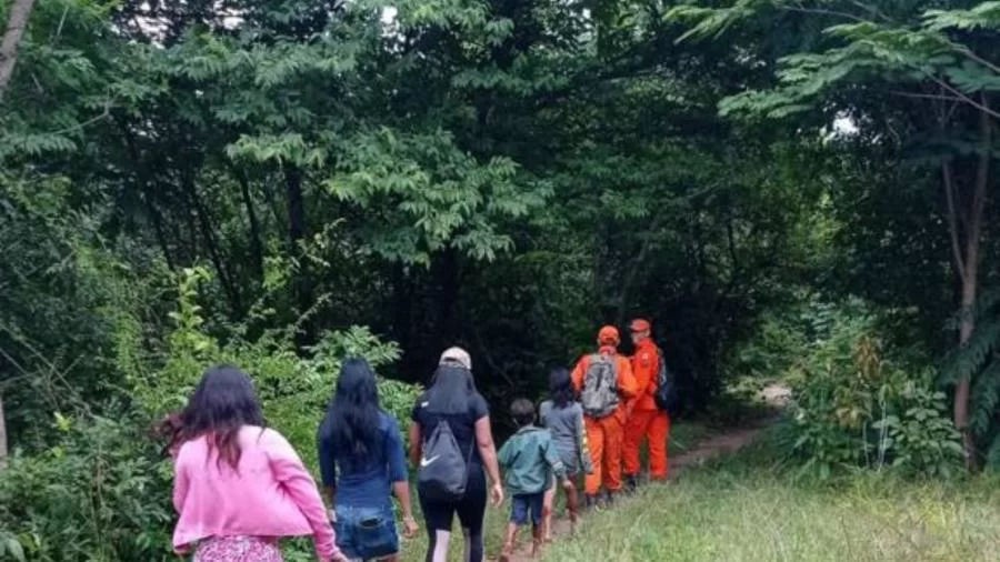 Buscas por criança indigena em mata fechada já dura quatro dias; acompanhe o caso