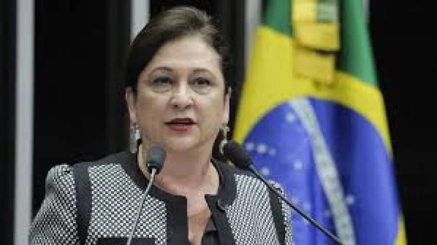 Senadora Katia Abreu se licencia do cargo de Senadora e dÃÂ¡ lugar ao  segundo suplente, Bispo Guaracy   assumir o Senado Federal
