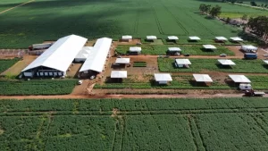 Sebrae Tocantins leva debate sobre economia e sustentabilidade no agronegócio