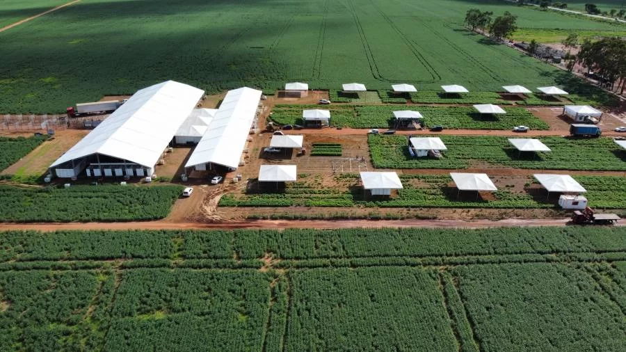 Sebrae Tocantins leva debate sobre economia e sustentabilidade no agronegócio