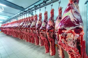 Desempenho das exportações brasileiras de carne bovina in natura supera expectativas no primeiro mÃªs do ano
