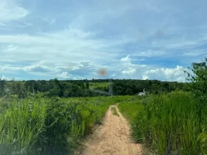 Grileiros de fazendas de WanderlÃ¢ndia não moram no local, revela áudio do presidente da Associação