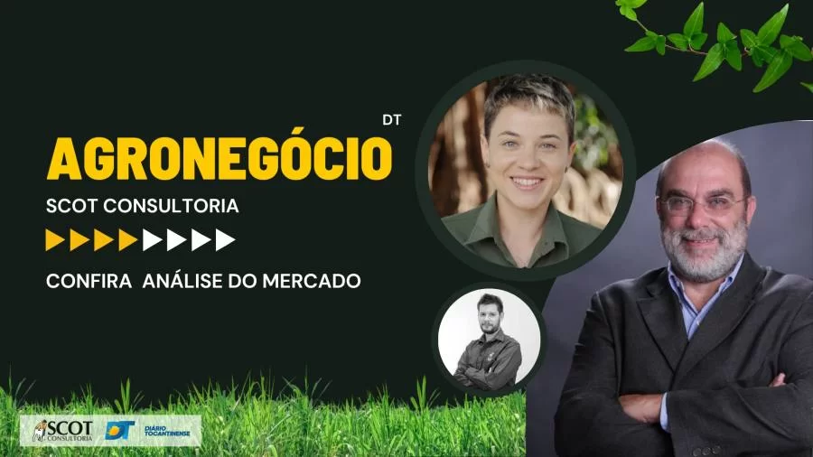 Perspectivas e investimentos no mercado pecuário brasileiro: análise do ciclo e produção pecuária