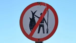 Período da piracema chega ao fim nesta quarta-feira, 28, no Tocantins