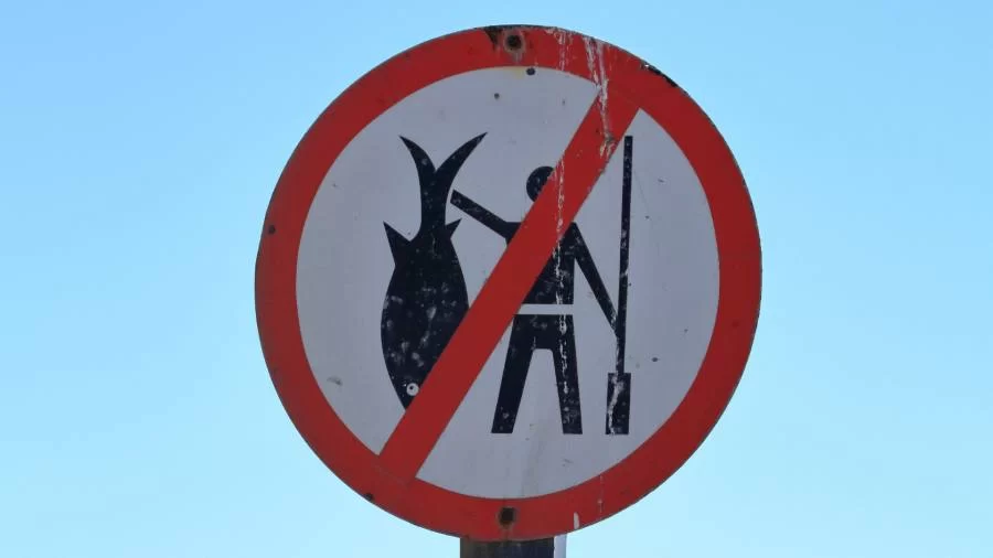 Período da piracema chega ao fim nesta quarta-feira, 28, no Tocantins