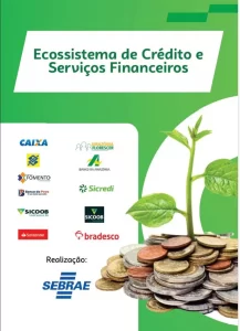 Sebrae Tocantins cria ambiente virtual para acesso ao crédito