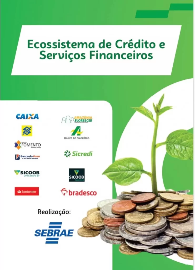 Sebrae Tocantins cria ambiente virtual para acesso ao crédito