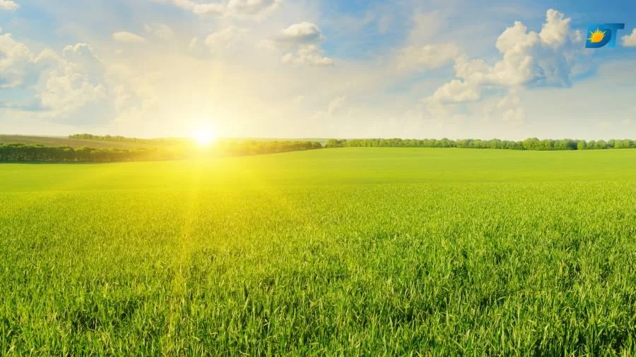 Março | clima no mÃªs de março pode impactar safra de grãos, aponta INMET