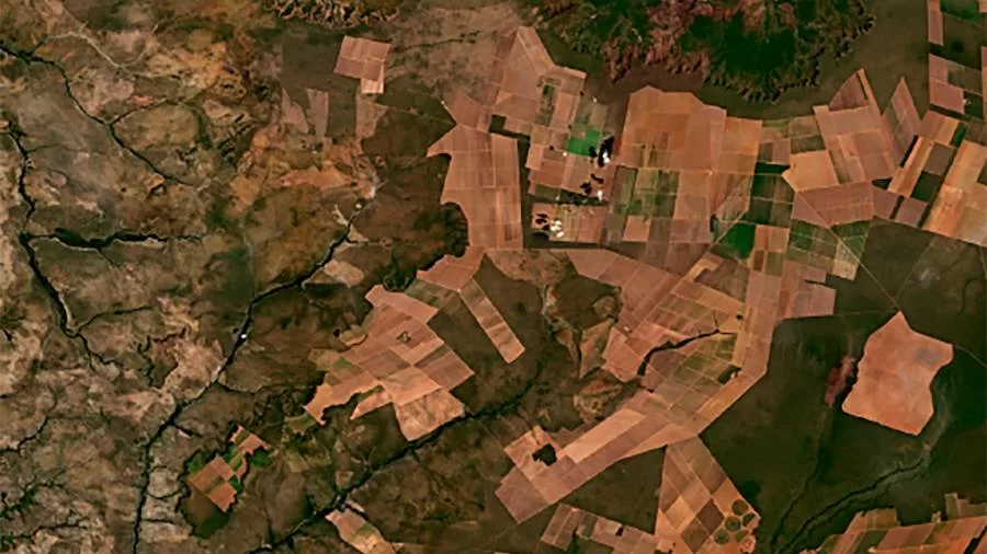 Atuação conjunta entre MPTO e TJ visa solução para 120 casos de desmatamento ilegal na região do Jalapão