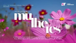 8 de Março: saiba quais os direitos das mulheres no Brasil