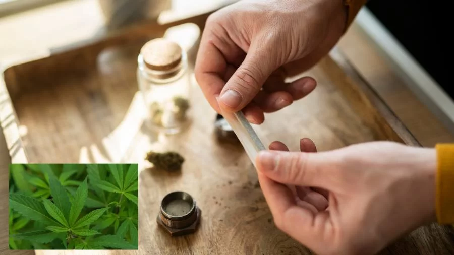 PEC que criminaliza posse de qualquer quantidade de droga é aprovada no Senado; veja os pontos debatidos