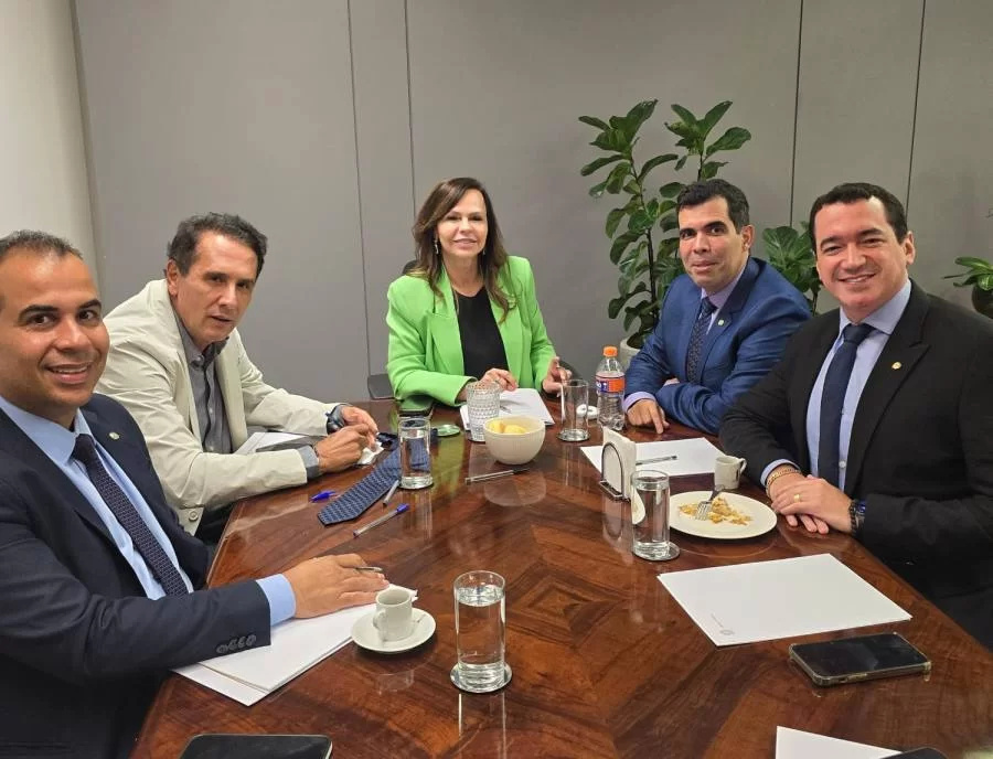 Dorinha é reconduzida Ã  coordenação da bancada federal no Congresso