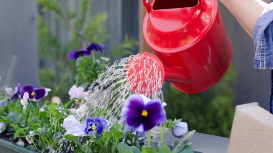 Semana da água: BRK orienta sobre os benefícios do reaproveitamento da água